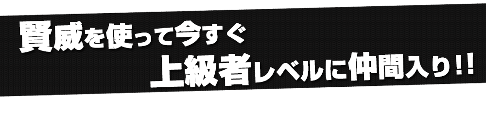 賢威を使っていますぐ上級者レベルに仲間入り